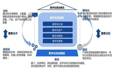 數字化供應鏈賦能餐飲連鎖 探索《食品與餐飲連鎖企業數字化增長指引參考》的核心價值